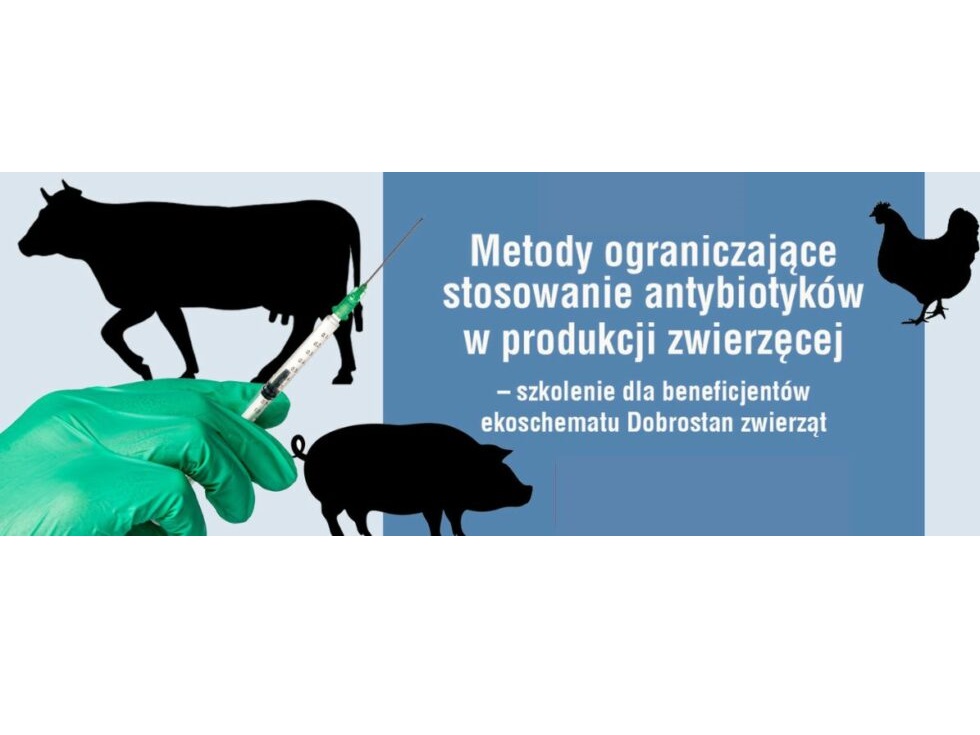 Infografika - antybiotyki w rolnictwie