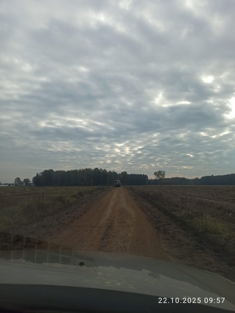 profilowanie