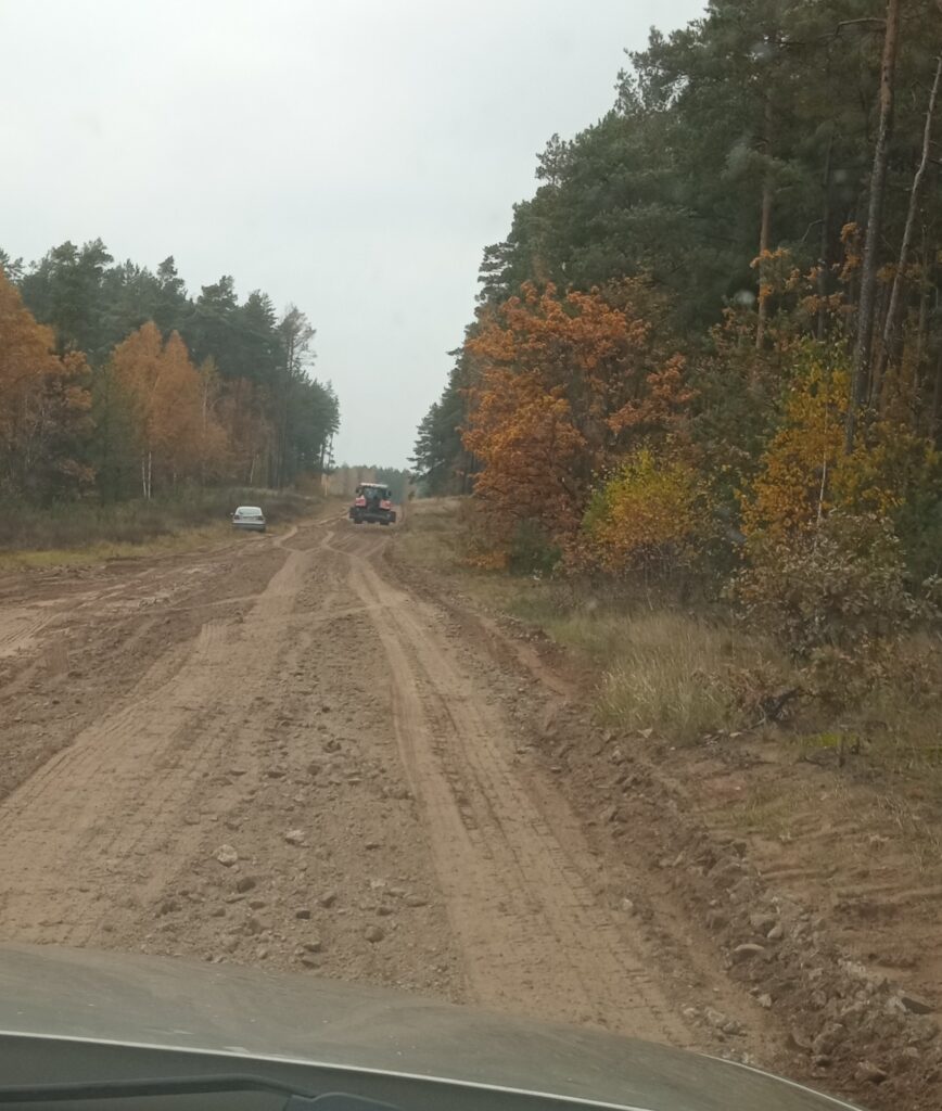 profilowanie