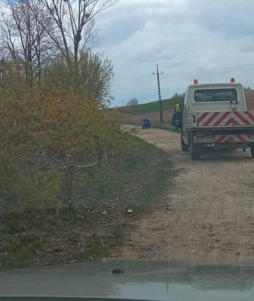 przycinka zakrzaczeń